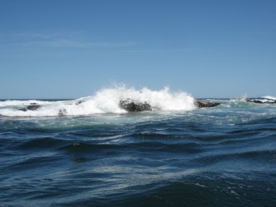 l0558.JPG