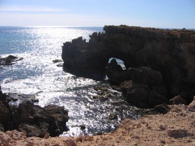 m0484.JPG