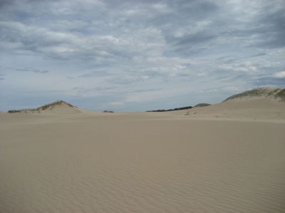 j0817.JPG