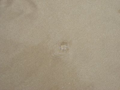 l0575.JPG