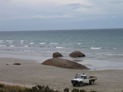 m0485.JPG