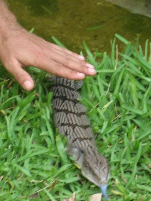 l0094.JPG