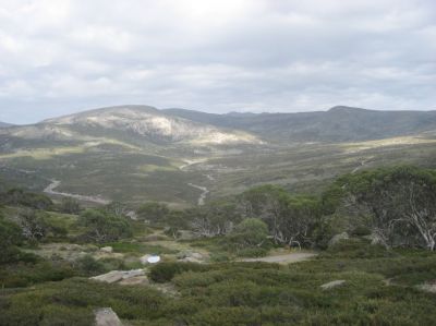 j0592.JPG