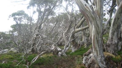 j0617.JPG