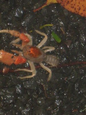 l0466.JPG