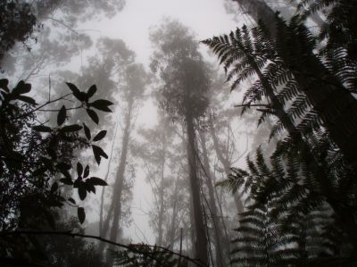 t0088.JPG