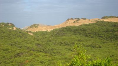 j0655.JPG