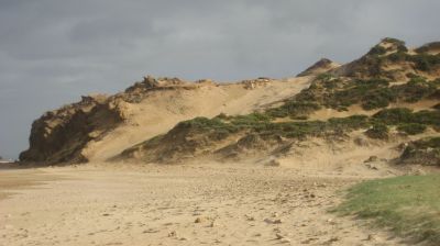 j0660.JPG