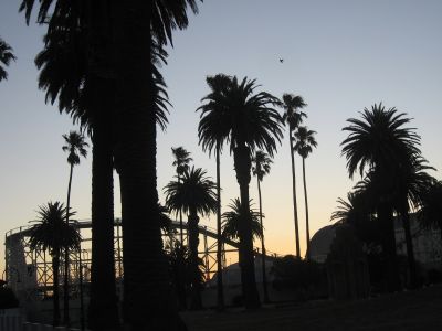 l0490.JPG
