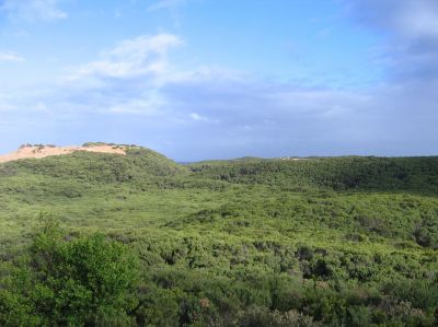 m0376.JPG