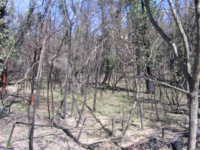 m0502.JPG