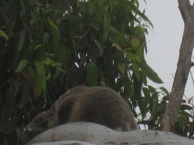 l0291.JPG