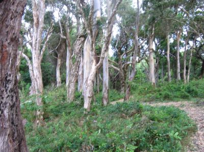 m0181.JPG