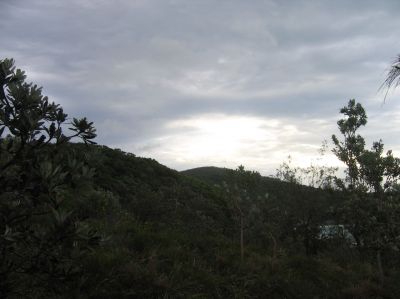 m0183.JPG