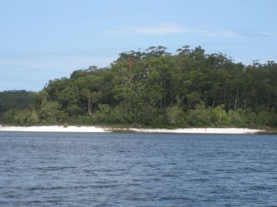 j0338.JPG