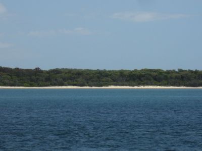 l0202.JPG