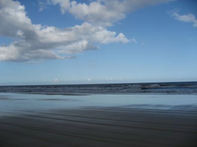 l0213.JPG