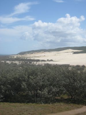 l0246.JPG