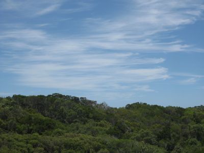 l0279.JPG