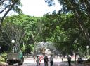 j0015.JPG