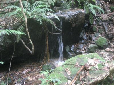 j0544.JPG