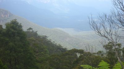 j0556.JPG