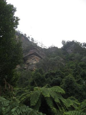 l0419.JPG