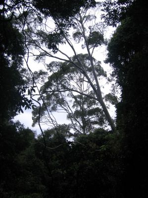 m0330.JPG