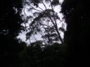 t0047.JPG