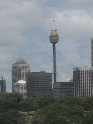 j0525.JPG