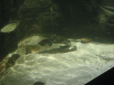 j0916.JPG