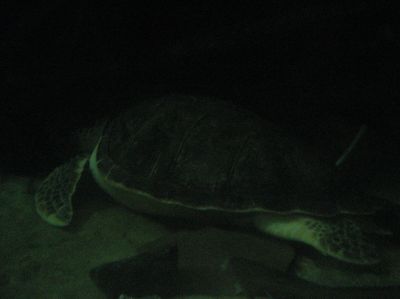 j0930.JPG