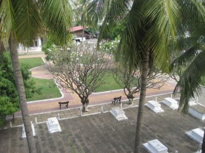 Picture_803.jpg