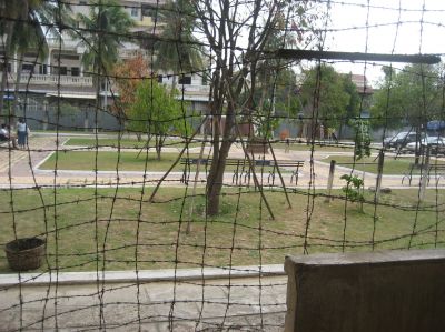 Picture_810.jpg