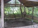 Picture_793.jpg
