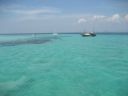 Picture_1250.jpg
