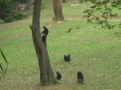 Picture_1185.jpg