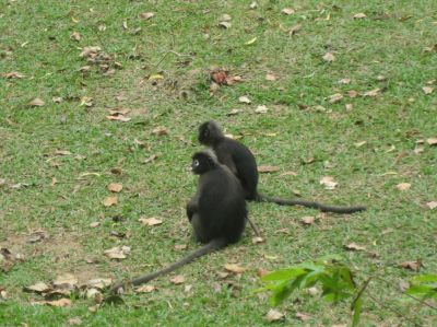 Picture_1190.jpg