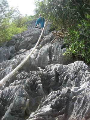 Picture_1198.jpg