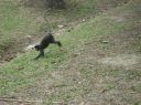 Picture_1193.jpg