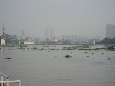 Picture_221.jpg