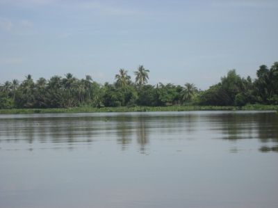 Picture_227.jpg