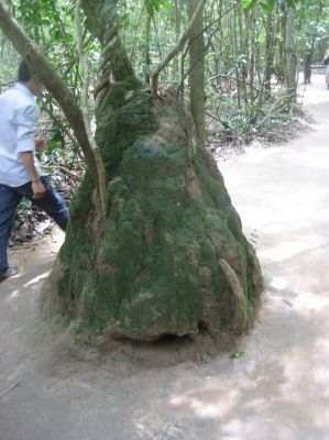 Picture_235.jpg