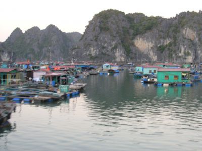 P1010140.JPG