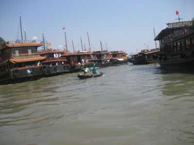 Picture_332.jpg