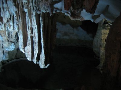 Picture_362.jpg