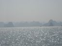 Picture_340.jpg