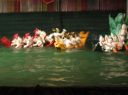 Picture_326.jpg