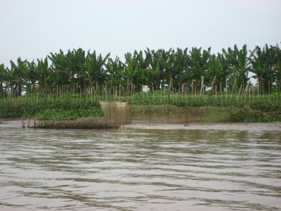 Picture_761.jpg