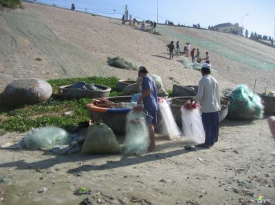 Picture_702.jpg